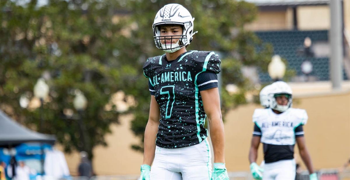 球在培养体 球在培养体